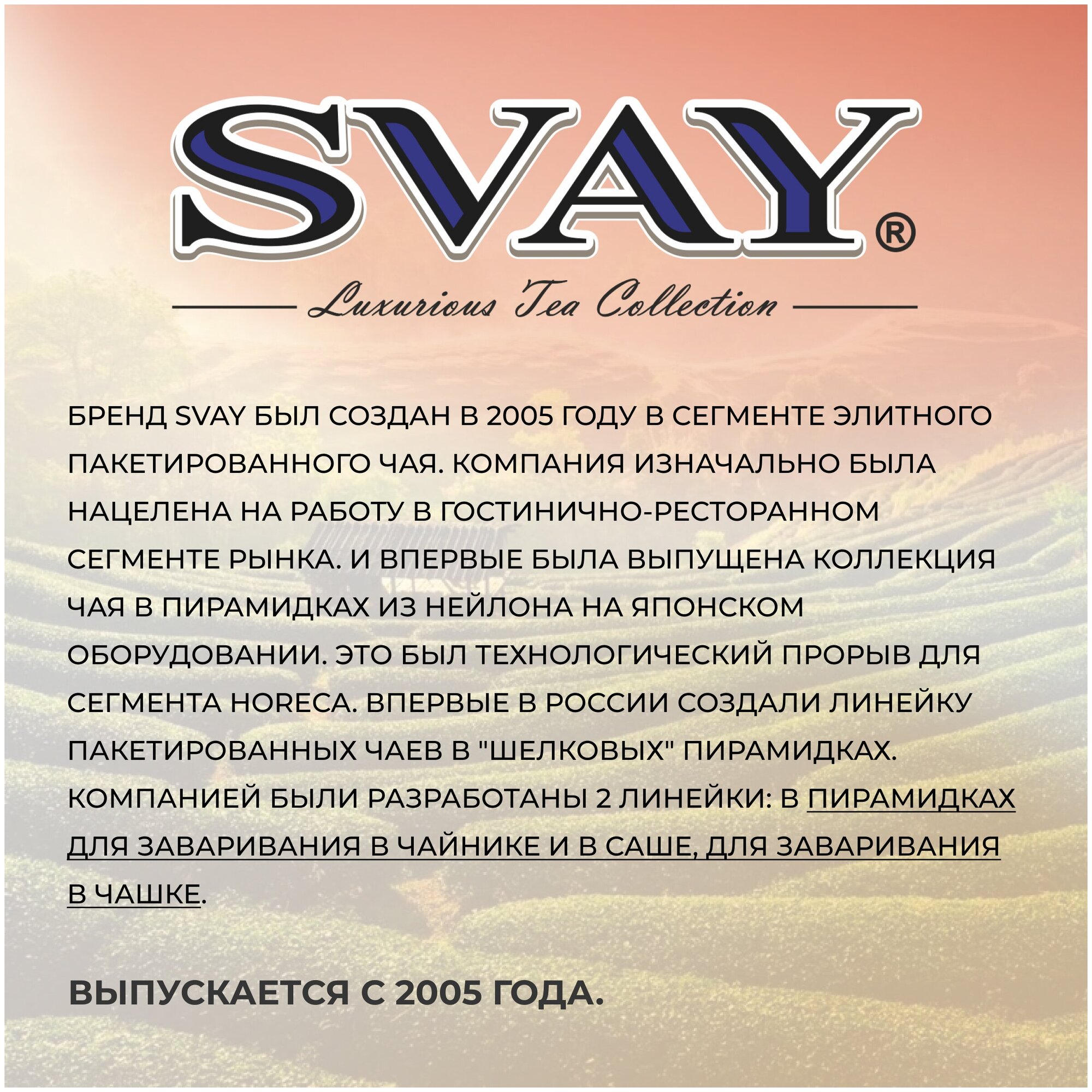Чай черный Svay Sea-buckthorn в пирамидках, 20 пак. - фотография № 3