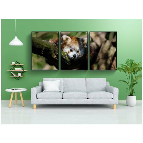 фото Набор модулных постеров для интерьера "животное, милый, пушистый" 60x90 см. в тубусе, без рамки lotsprints