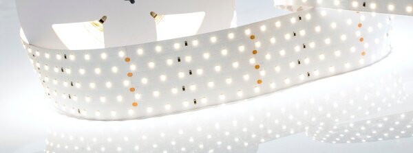 Светодиодная лента RT 2-2500 24V White6000 5x2 (2835, 875 LED, LUX) (Arlight, 36 Вт/м, IP20) - фотография № 2