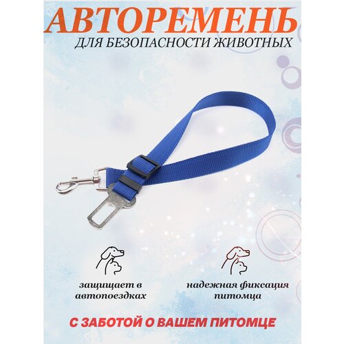 Фиксирующий авторемень для безопасности животных, синий.