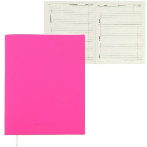 DeVENTE Дневник универсальный для 1-11 класса Pink soft touch, мягкая обложка, искусственная кожа, ляссе, 80 г/м2 devente дневник универсальный для 1 11 класса pink soft touch мягкая обложка искусственная кожа ляссе 80 г м2