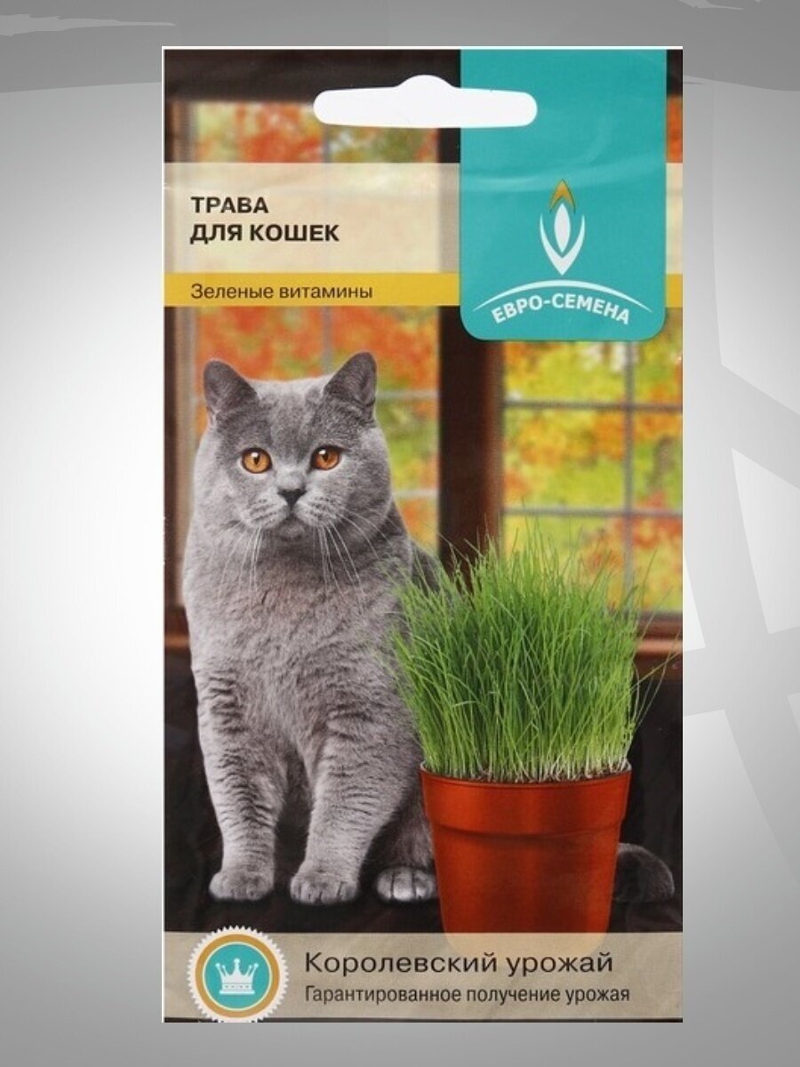 Семена Трава для кошек 10 г