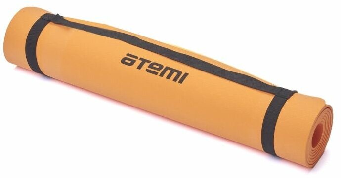 Коврик для йоги и фитнеса Atemi, AYM04C, TPE 173х61х0,4 см - фото №2