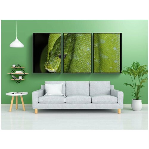 фото Набор модулных постеров для интерьера "линия, зеленая змея, зоопарк" 60x90 см. в тубусе, без рамки lotsprints
