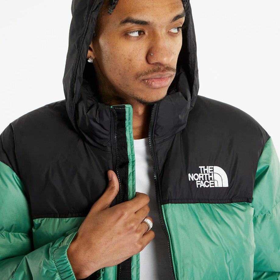 Куртка спортивная The North Face