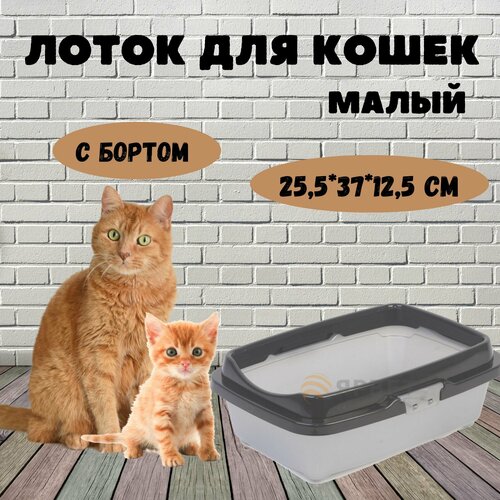 Лоток для котят Догуш малый с бортом, 25,5*37*12,5 см