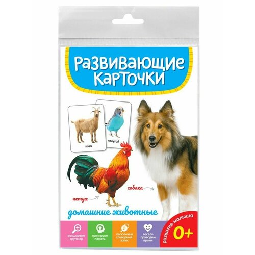 Развивающие карточки Домашние животные смирнова с илл домашние животные развивающие карточки