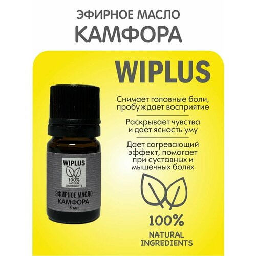 Эфирное масло Камфора 5 мл WIPLUS эфирное масло османтус 5 мл wiplus