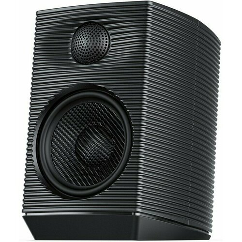 Колонки FIIO SP3 Black 4449000₽