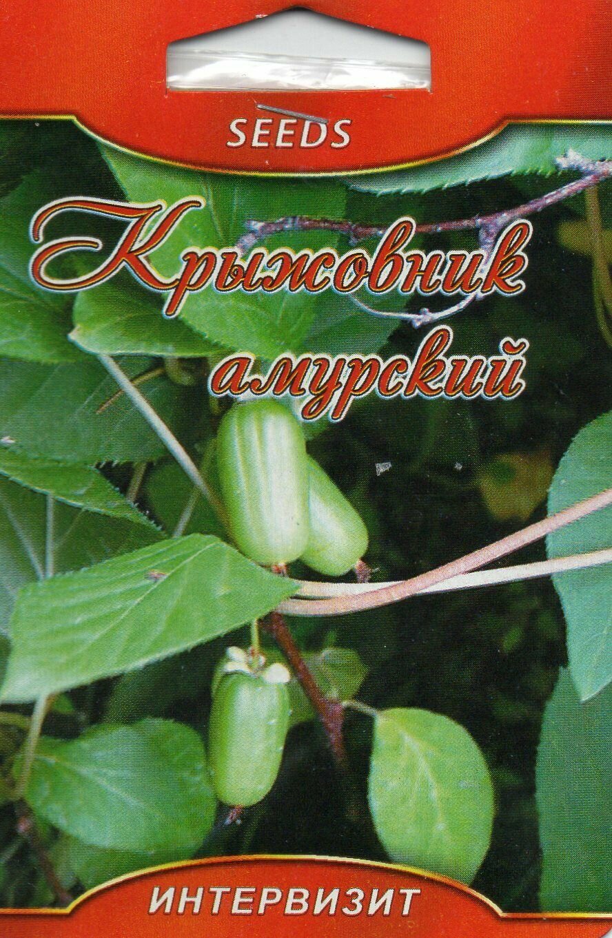 Крыжовник Амурский семена