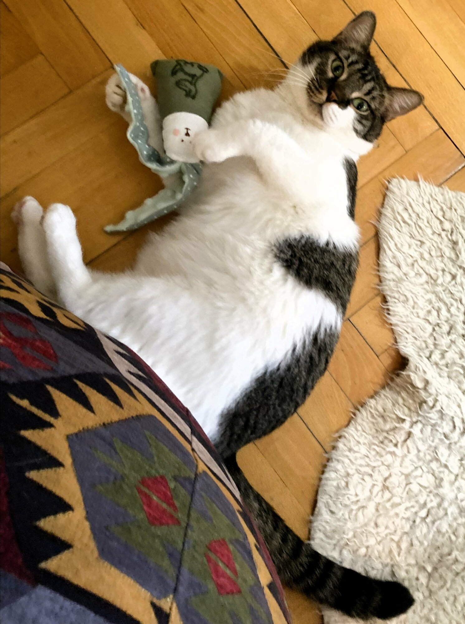 Антейка игрушка для кошек Зая Дино, с мятой и погремушкой - фотография № 4