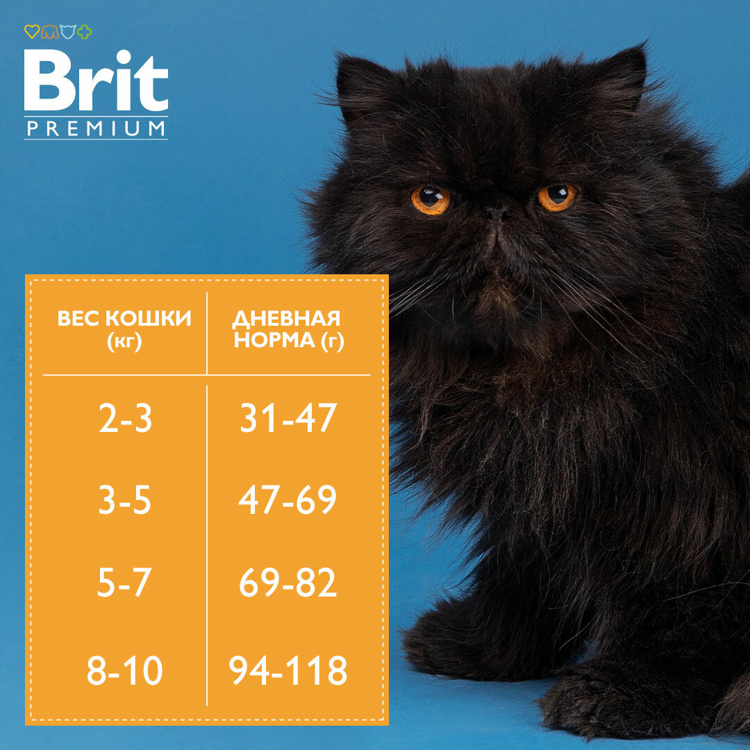 Brit Premium Cat Indoor для взрослых домашних кошек Курица, 2 кг. - фотография № 16