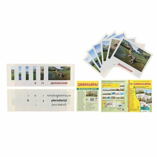 Демонстрационные картинки Динозавры 2 формата 16 штук 17х22 см и 16 штук 6х9 см 492₽