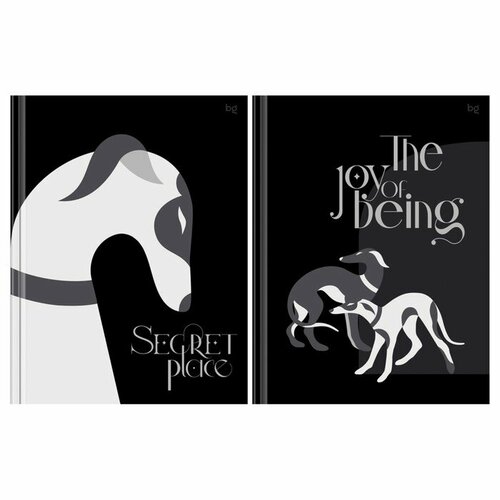 Бизнес-блокнот BG А5 80л кл Secret place обл карт мат лам выб лак бл 60гм2 микс 388₽