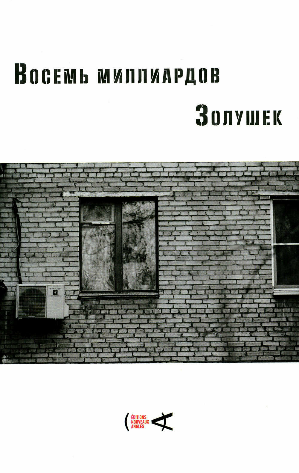 Восемь миллиардов Золушек (Отрошенко Владислав Олегович, Арабов Юрий Николаевич, Ахмедова Марина Магомеднебиевна) - фото №1