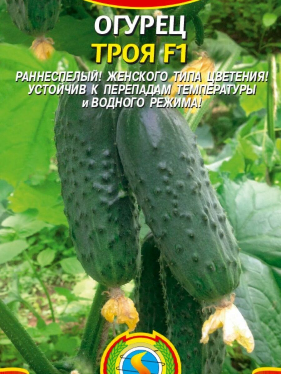 Семена Огурец Троя F1 7 шт Плазменные семена