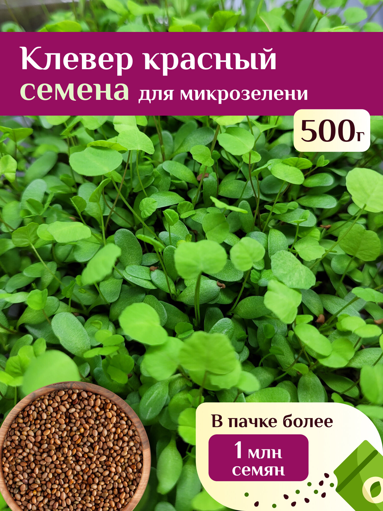 Клевер красный семена микрозелени Ильинские проростки 500г