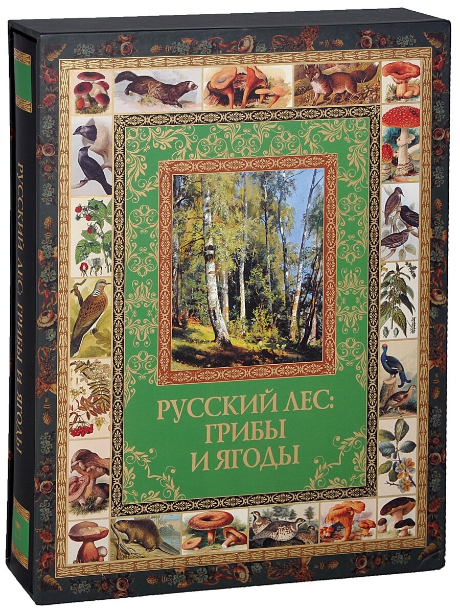 Русский лес. Грибы и ягоды (Группа авторов) - фото №8