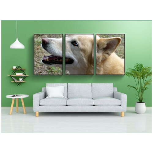 фото Набор модулных постеров для интерьера "волк, хаски, пересекать" 60x90 см. в тубусе, без рамки lotsprints