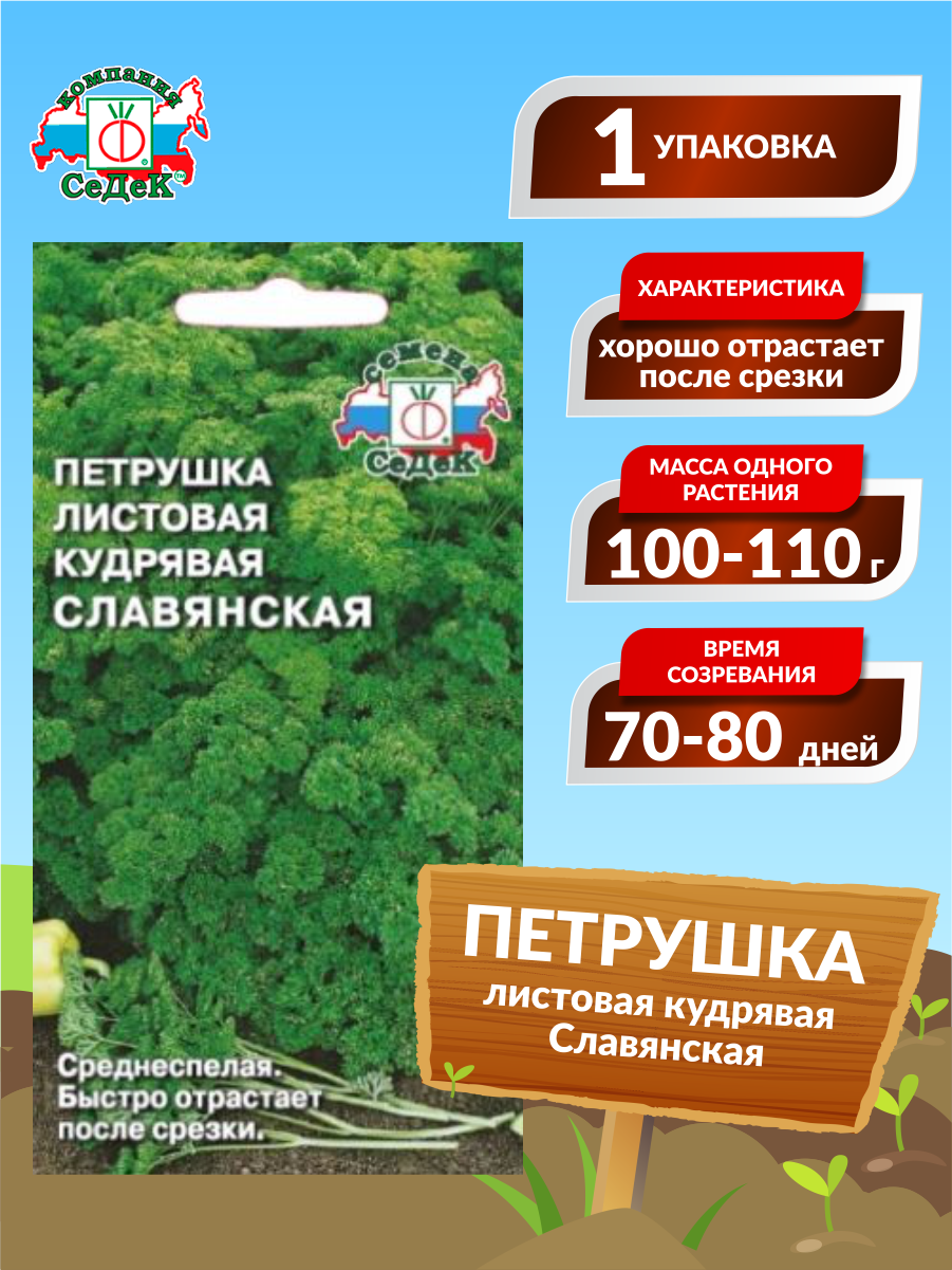 Петрушка Славянская кудрявая СеДек - фото №2