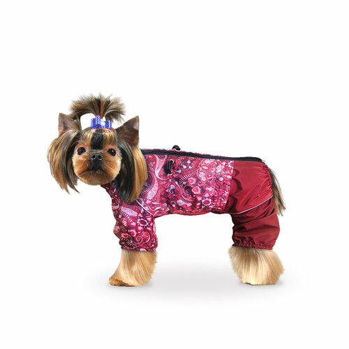 Дождевик Zootrend Актив одежда для собак малых пород, розовый бордовый, на молнии, размер M унисекс