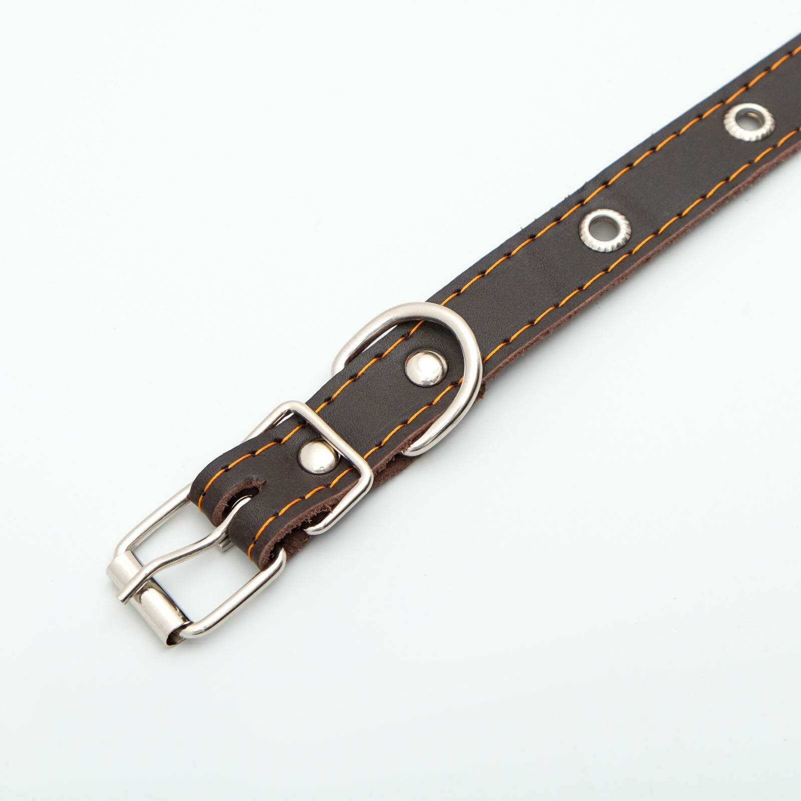 Ошейник кожаный однослойный с рифлёными люверсами, коричневый, 50 х 2 см - фотография № 3