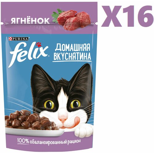 Корм влажный для кошек FELIX Домашняя вкуснятина с ягнёнком 75г 16 шт