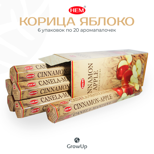 Палочки ароматические благовония HEM ХЕМ Корица Яблоко Cinnamon Apple, 6 упаковок, 120 шт