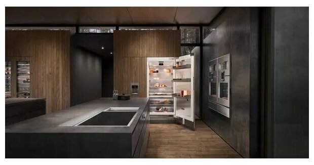 Морозильник Gaggenau RF461305 - фотография № 4