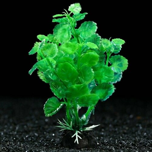 Растение искусственное аквариумное, 3 х 13 см, зелёное, 1 шт, 5 шт. декорация для аквариума meijing aquarium гаргулья mja 065 серый 10 5 х 12 х 13 см