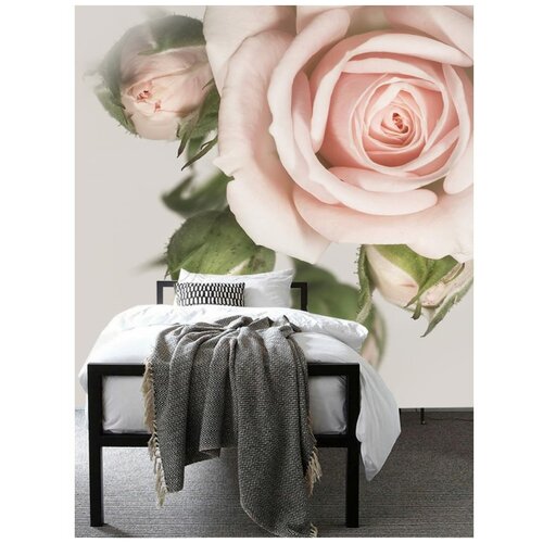 Фотообои Fotooboikin Роза 200х270 см ШхВ 3285₽