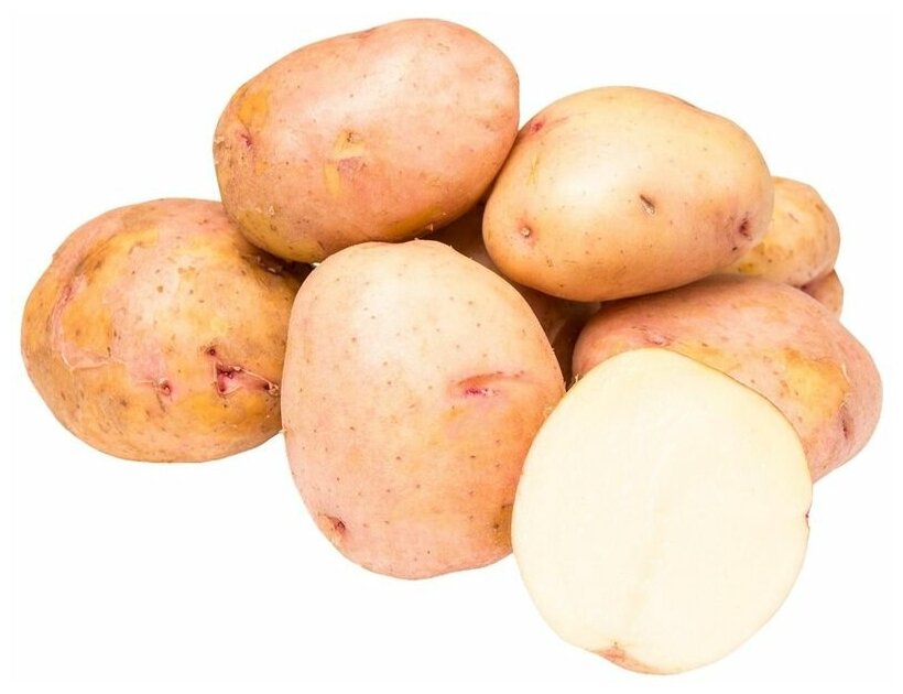 Семенной картофель Синеглазка 2 кг