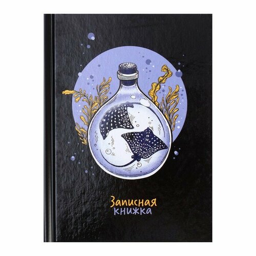 Записная книжка 105 х 140, 64 листов, Скаты, твердая обложка, глянцевая ламинация, сшивной, белый блок