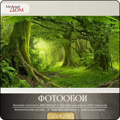 Фотообои на стену Модный Дом 