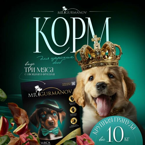 Корм для щенков крупных пород 10 кг Три мяса с овощами и фруктами