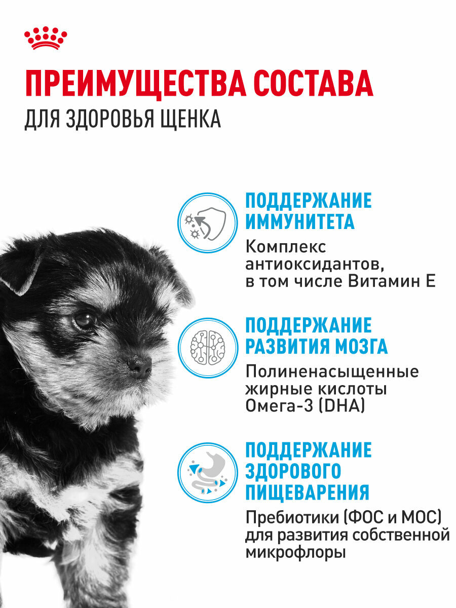 Сухой корм для щенков Royal Canin Puppy для породы йоркширский терьер, 1,5 кг — фото 1