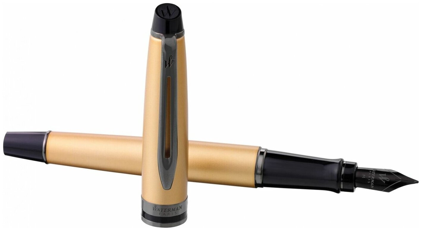 Ручка перьев. Waterman Expert DeLuxe (2119257) Metallic Gold RT F сталь нержавеющая подар.кор.
