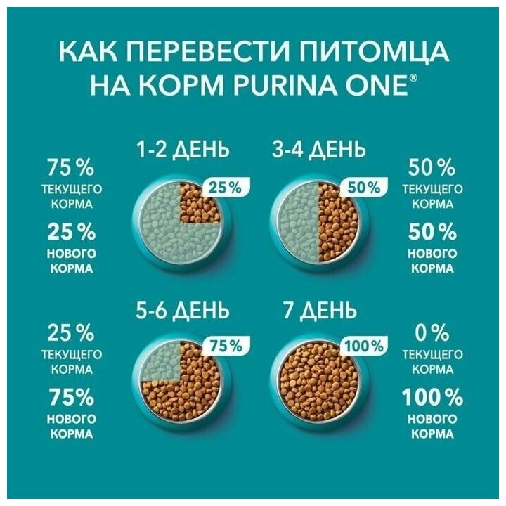 Сухой корм Purinа one для взрослых кошек, курица со злаками, 200 г, 1 шт. - фотография № 7