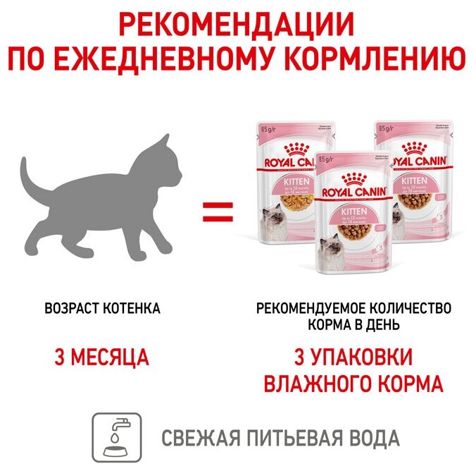 Royal Canin Kitten влажный корм для котят, соус и желе, мультипак (5+5) 10х85 г. - фотография № 9