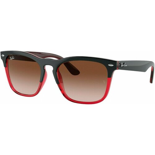 Ray-Ban RB 4487 6631/13