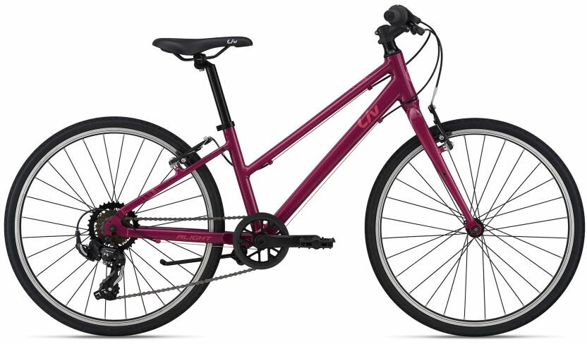 Подростковый велосипед GIANT Alight 24 2021 Фиолетовый One Size