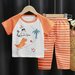Комплект одежды   детский, размер 92, оранжевый
