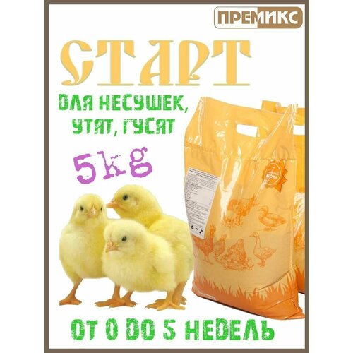 Корм для несушек "Старт"