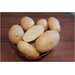 Картофель семенной сорт Крепыш (суперэлита) (4 кг)