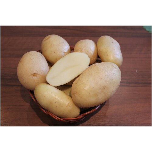 Картофель семенной сорт Крепыш (суперэлита) (4 кг)