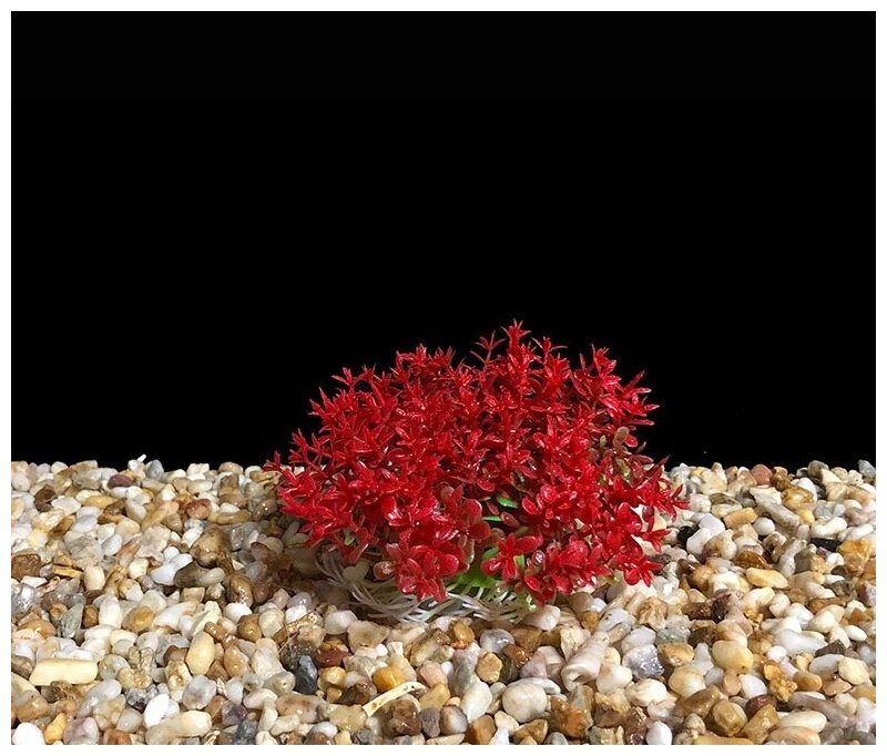 Растения для аквариума и террариума искусственные, декоративные растения для аквариума. Набор из 3 шт. 6 см - фотография № 3
