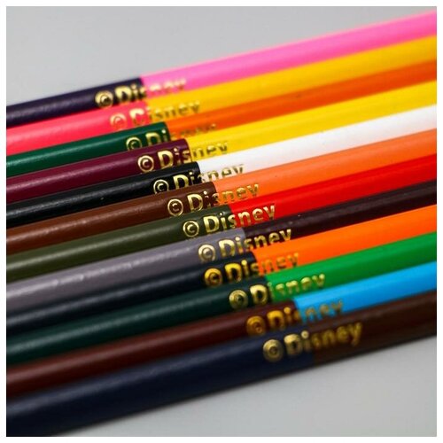 Карандаши цветные Disney 24 цвета, двухсторонние, Минни yalong карандаши цветные двухсторонние 24 цвета yl10037 24