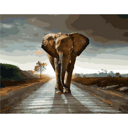 Картина по номерам Мощь слона 40х50 см
