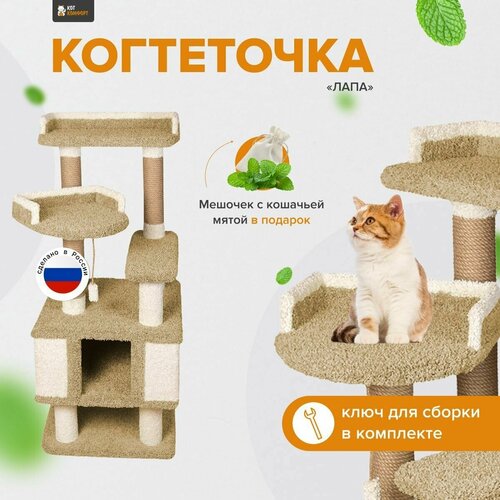 Игровой комплекс для кошек с домиком и игрушкой, высокая когтеточка "Лапа" оливковый