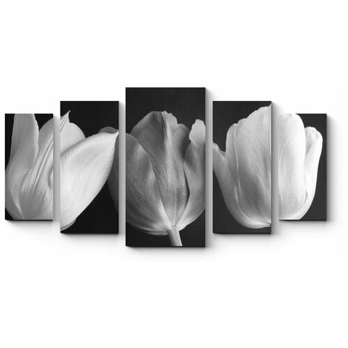 Модульная картина Монохромные тюльпаны 210x116